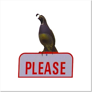 PLEASE Said the Quail Posters and Art